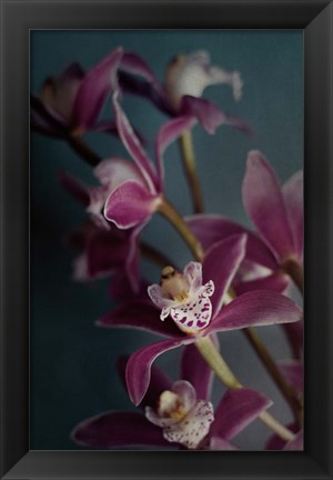 Framed Dark Orchid IV Print