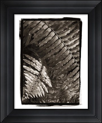 Framed Fern I Print