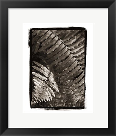 Framed Fern I Print