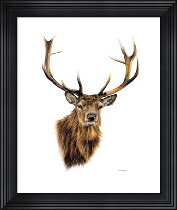 Framed Stag White Background Print