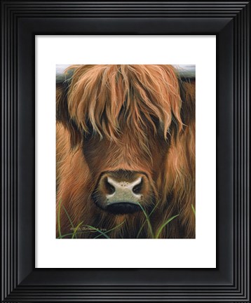 Framed Cow Portrait Print