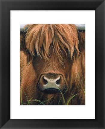 Framed Cow Portrait Print