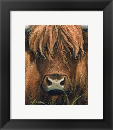 Framed Cow Portrait Print