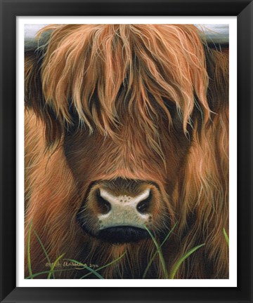 Framed Cow Portrait Print