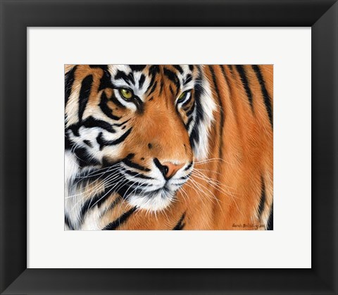 Framed Tiger Crop Print