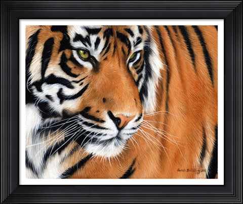 Framed Tiger Crop Print