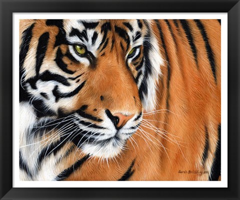 Framed Tiger Crop Print