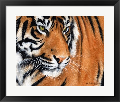 Framed Tiger Crop Print