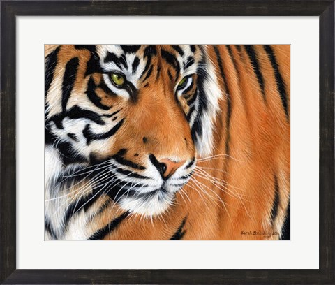 Framed Tiger Crop Print