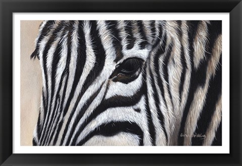 Framed Zebra Eyes Print