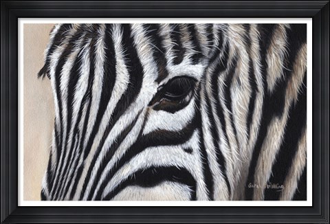 Framed Zebra Eyes Print