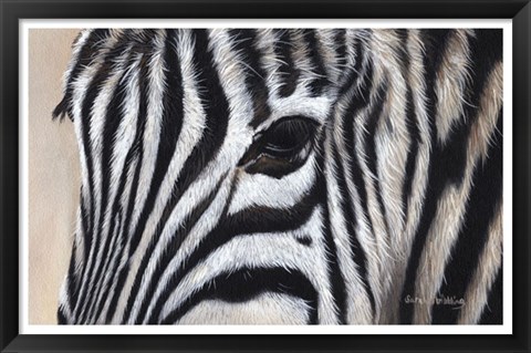 Framed Zebra Eyes Print