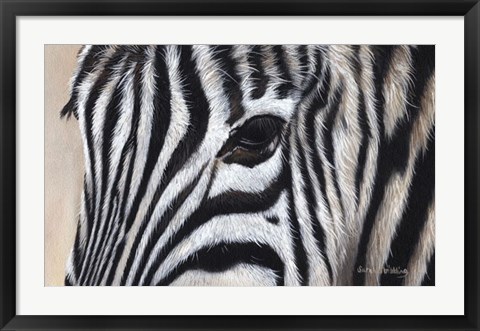 Framed Zebra Eyes Print