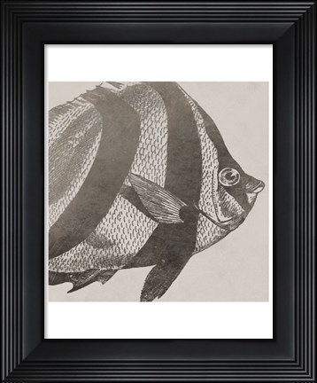 Framed Vintage Fish I Print