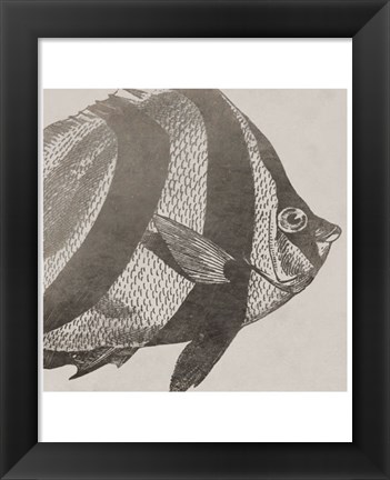 Framed Vintage Fish I Print