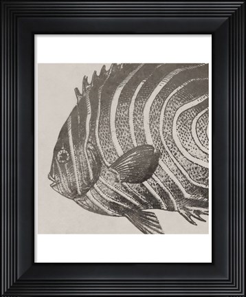 Framed Vintage Fish II Print