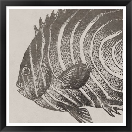 Framed Vintage Fish II Print