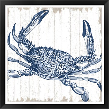 Framed Seaside Crab Print