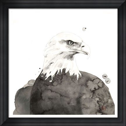 Framed Eagle Print