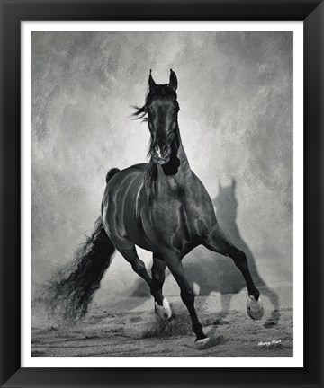 Framed Struttin His Stuff Print