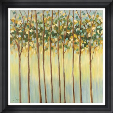 Framed Awakening Tree Tops Print