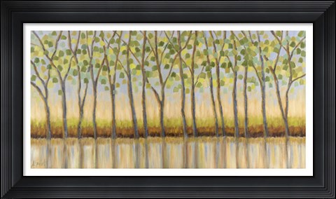 Framed Canopy of Trees Print