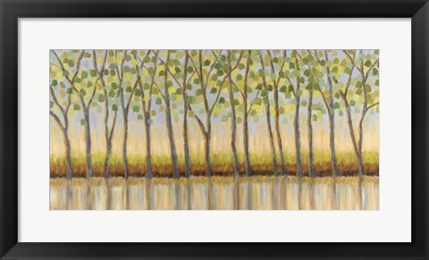 Framed Canopy of Trees Print