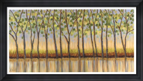Framed Canopy of Trees Print