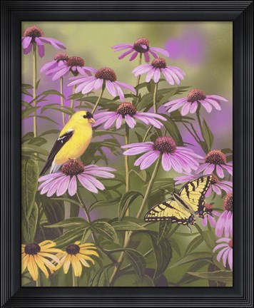 Framed Butterfly &amp; Finch Amongst Flowers Print