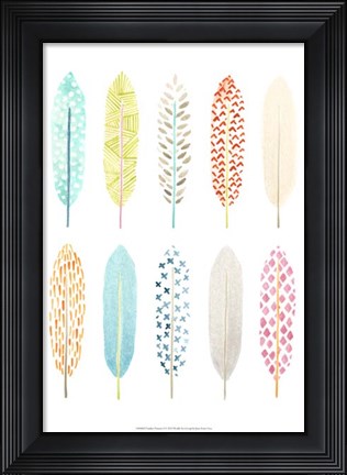 Framed Feather Patterns I Print