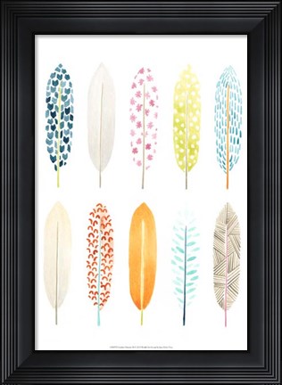 Framed Feather Patterns II Print