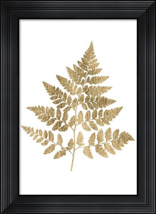 Framed Graphic Gold Fern I Print