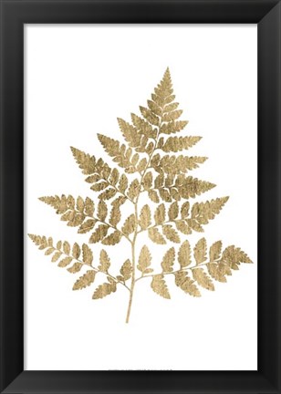 Framed Graphic Gold Fern I Print