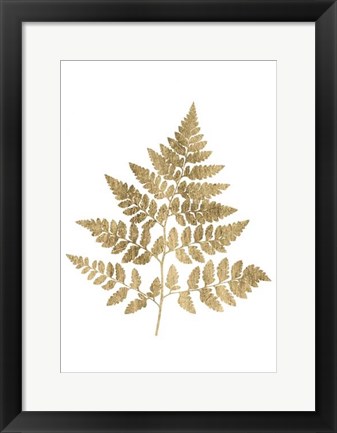 Framed Graphic Gold Fern I Print