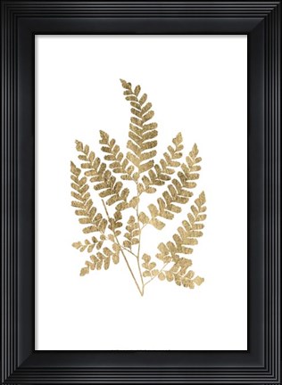 Framed Graphic Gold Fern II Print