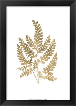 Framed Graphic Gold Fern II Print