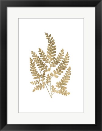 Framed Graphic Gold Fern II Print