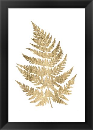 Framed Graphic Gold Fern IV Print