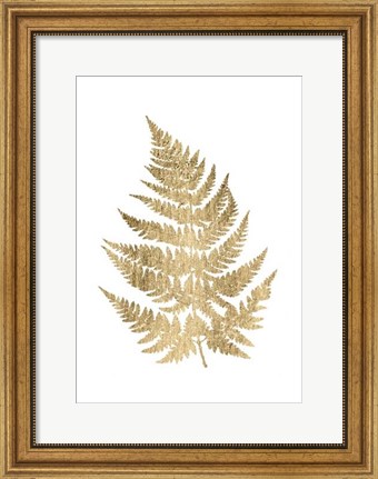 Framed Graphic Gold Fern IV Print
