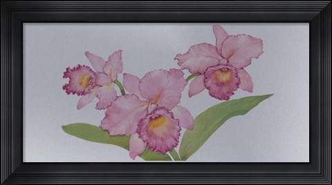 Framed Exotic Flowers I Print