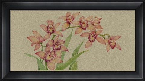 Framed Exotic Flowers III Print