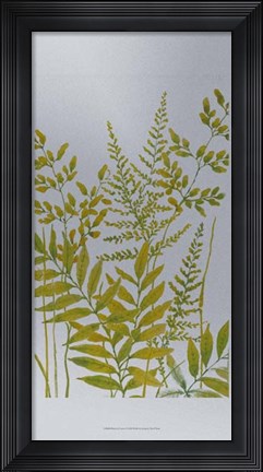 Framed Pattern of Leaves I Print