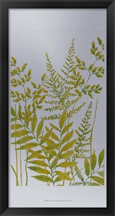 Framed Pattern of Leaves I Print