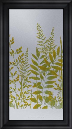 Framed Pattern of Leaves II Print