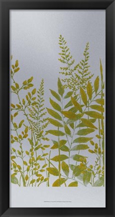 Framed Pattern of Leaves II Print