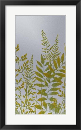 Framed Pattern of Leaves II Print