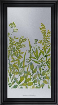 Framed Pattern of Leaves III Print