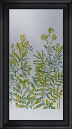 Framed Pattern of Leaves IV Print