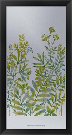 Framed Pattern of Leaves IV Print