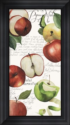 Framed Pyrus Study II Print